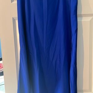 Blue jcrew slip skirt! Worn a couple of times. Perfect condition.